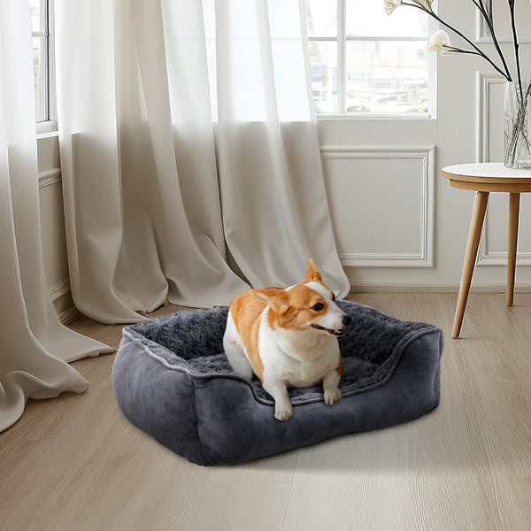 DreamPaws Bed