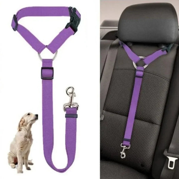 DualSafe Leash